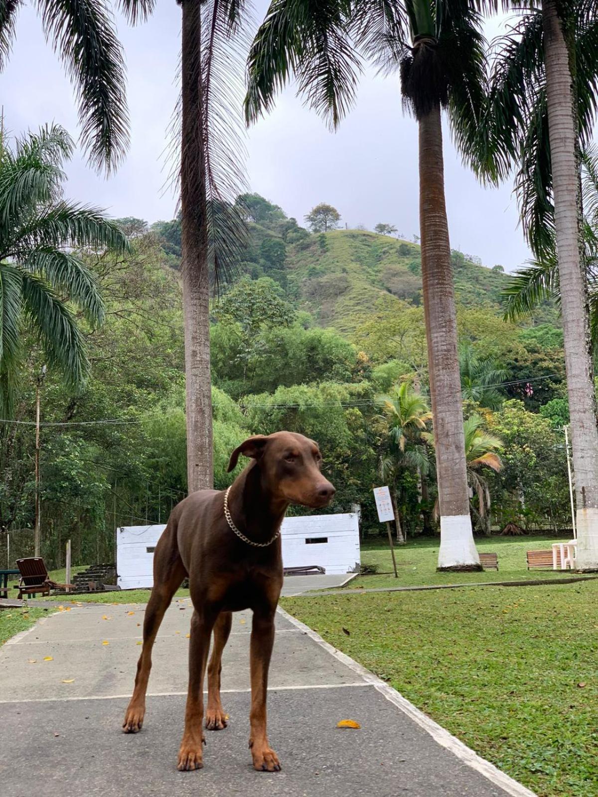 Finca Hotel La Consentida Escondida San Jerónimo Kültér fotó