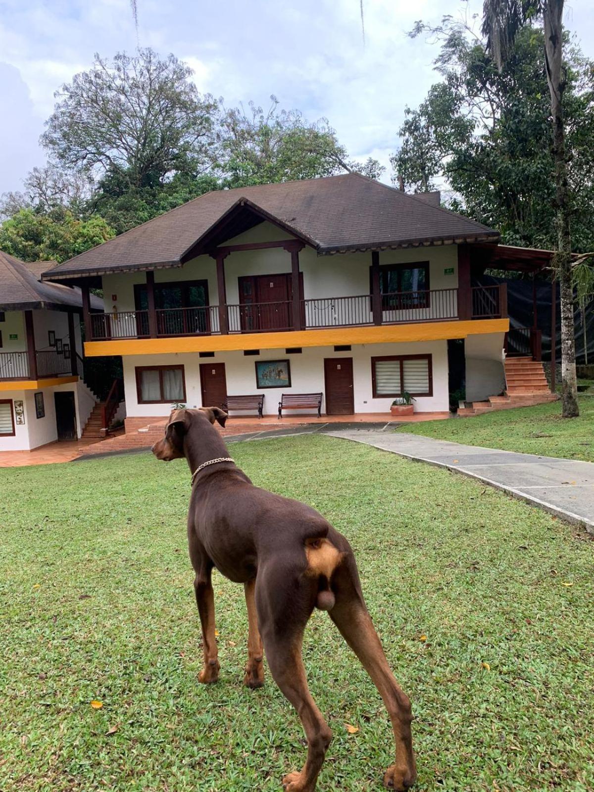 Finca Hotel La Consentida Escondida San Jerónimo Kültér fotó